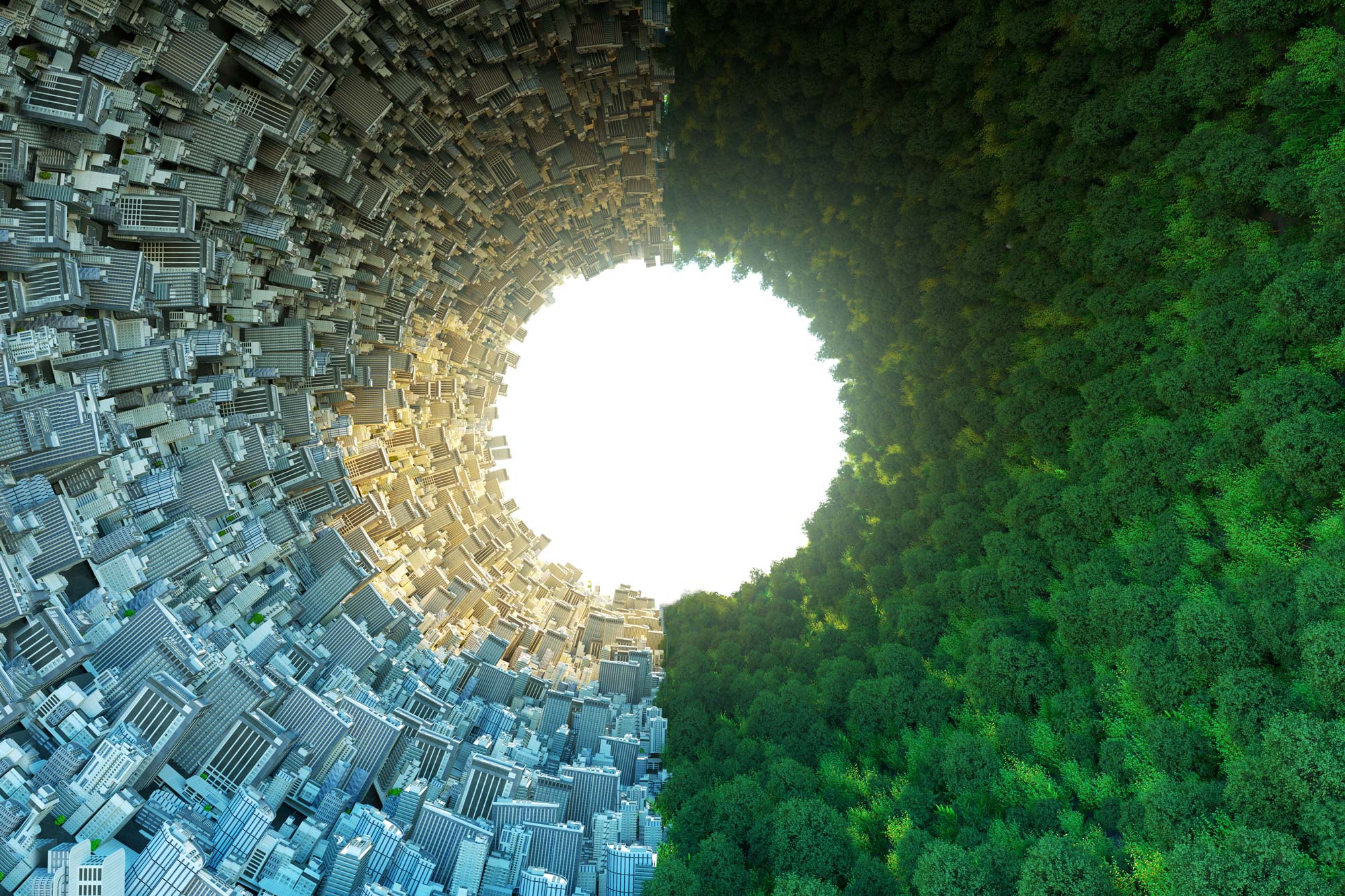 Circle with trees on one side and houses on the other